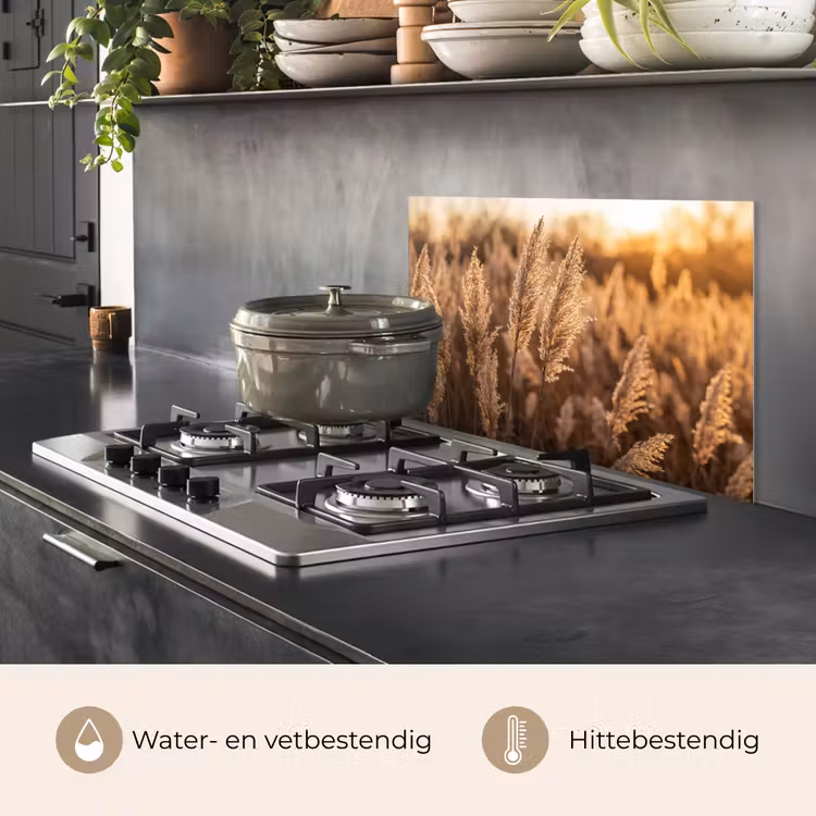 Spatscherm keuken - Rietpluimen - Gras - Zonsondergang - Goud - Serene — 7