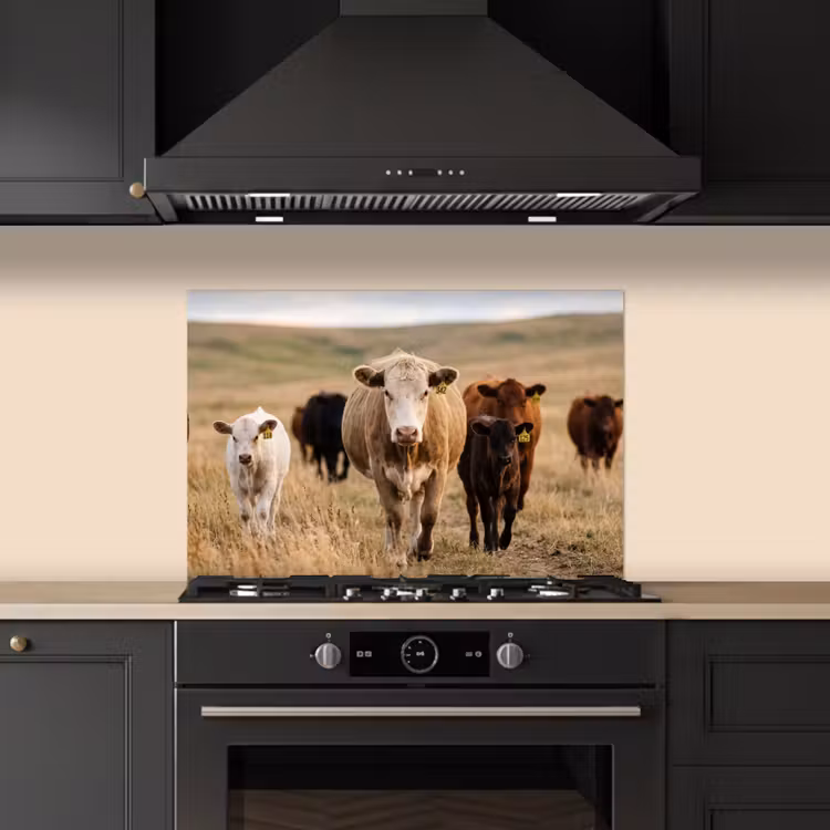Spatscherm keuken - Runderen - Kudde - Landschap - Weide - Rustig — 2