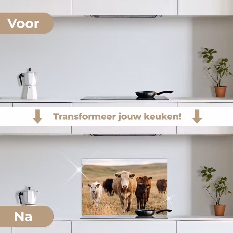 Spatscherm keuken - Runderen - Kudde - Landschap - Weide - Rustig — 3