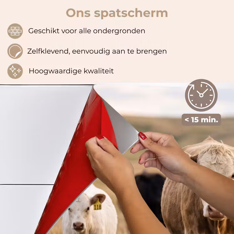 Spatscherm keuken - Runderen - Kudde - Landschap - Weide - Rustig — 4
