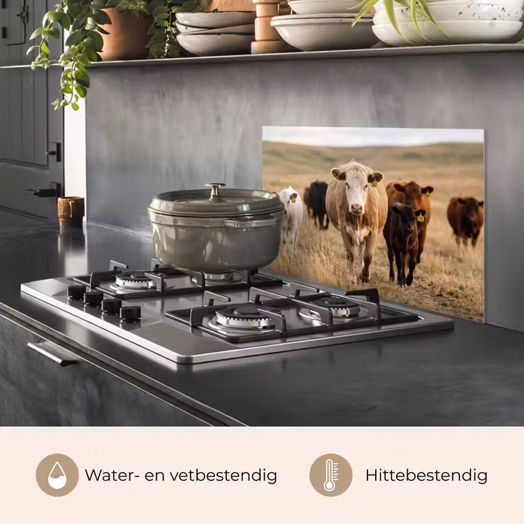 Spatscherm keuken - Runderen - Kudde - Landschap - Weide - Rustig — 7