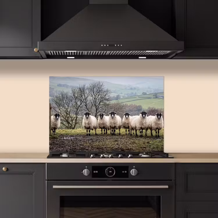 Spatscherm keuken - Schapen - Rij - Weide - Dieren - Platteland — 2