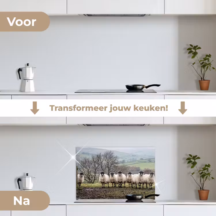 Spatscherm keuken - Schapen - Rij - Weide - Dieren - Platteland — 3