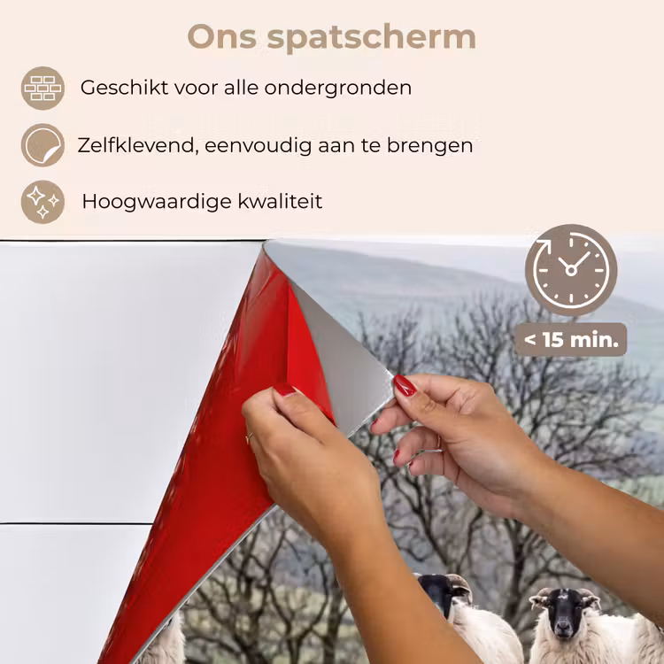 Spatscherm keuken - Schapen - Rij - Weide - Dieren - Platteland — 4