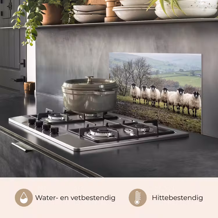 Spatscherm keuken - Schapen - Rij - Weide - Dieren - Platteland — 7