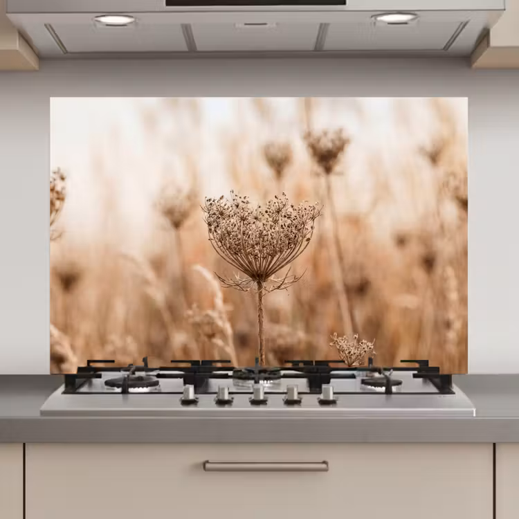 Spatscherm keuken - Schermbloem - Droogbloem - Winter - Beige - Minimalistisch — 1