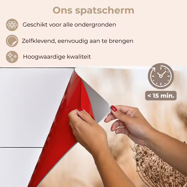 Spatscherm keuken - Schermbloem - Droogbloem - Winter - Beige - Minimalistisch — 4