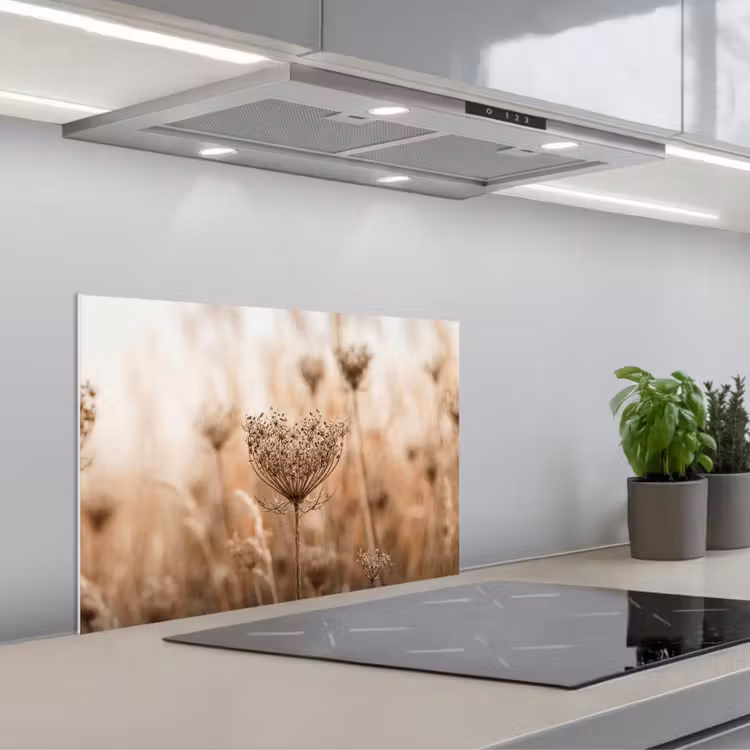 Spatscherm keuken - Schermbloem - Droogbloem - Winter - Beige - Minimalistisch — 5