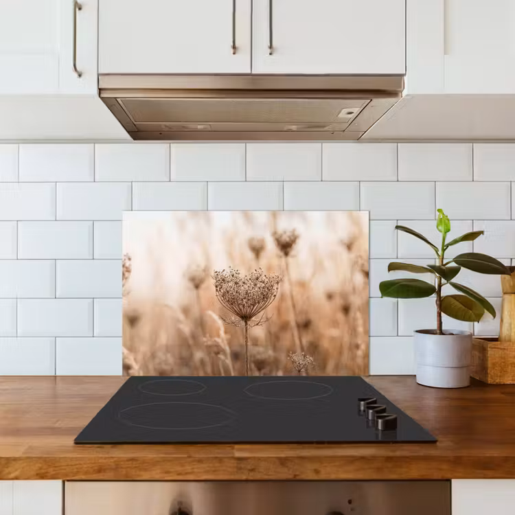 Spatscherm keuken - Schermbloem - Droogbloem - Winter - Beige - Minimalistisch — 6