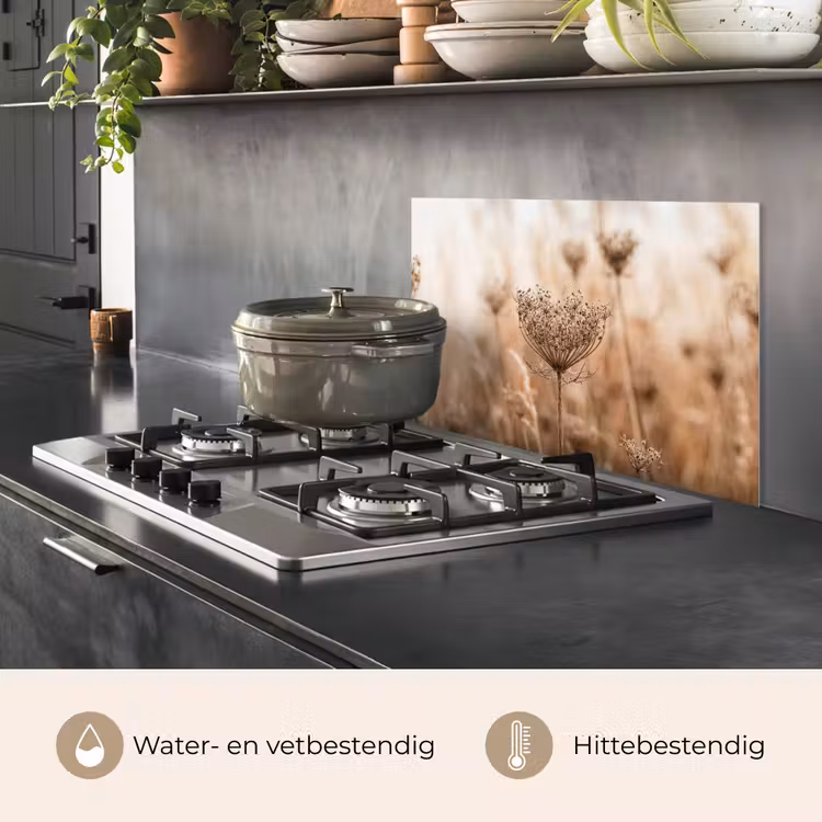 Spatscherm keuken - Schermbloem - Droogbloem - Winter - Beige - Minimalistisch — 7