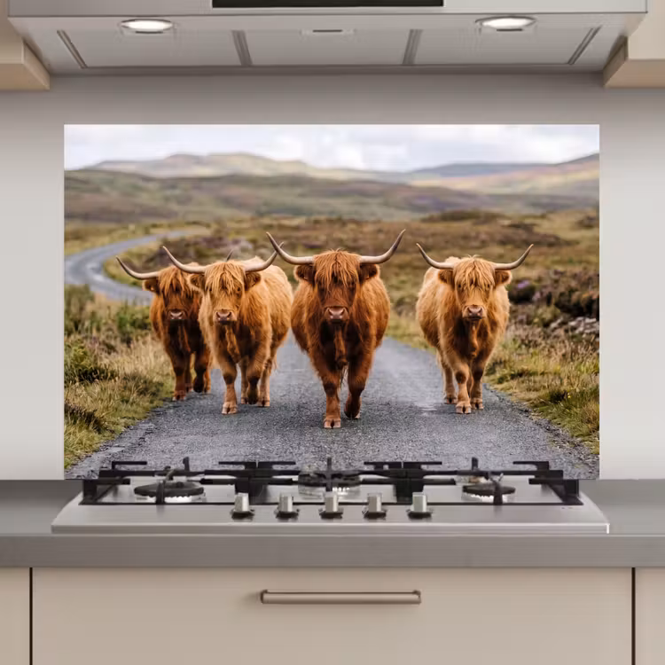 Spatscherm keuken - Schotse Hooglanders - Weg - Landschap - Kudde — 1