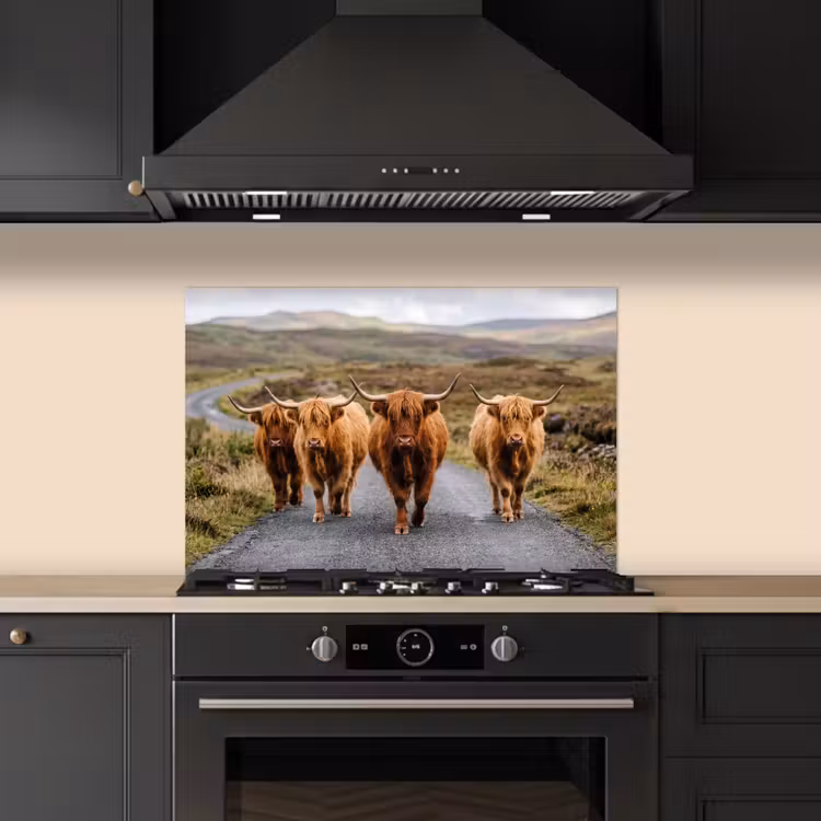 Spatscherm keuken - Schotse Hooglanders - Weg - Landschap - Kudde — 2