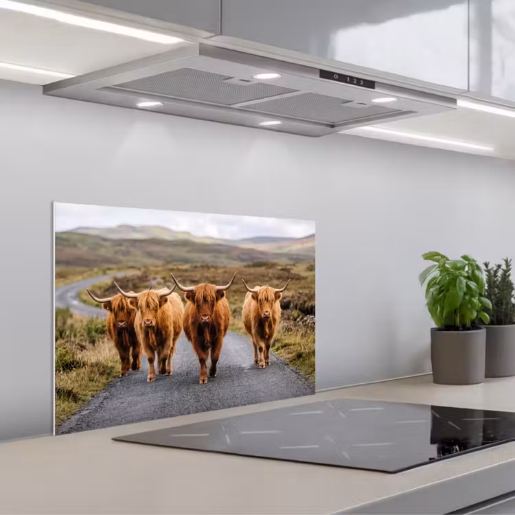Spatscherm keuken - Schotse Hooglanders - Weg - Landschap - Kudde — 5