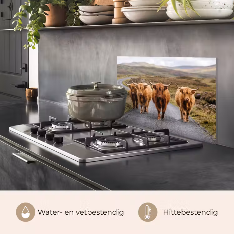 Spatscherm keuken - Schotse Hooglanders - Weg - Landschap - Kudde — 7