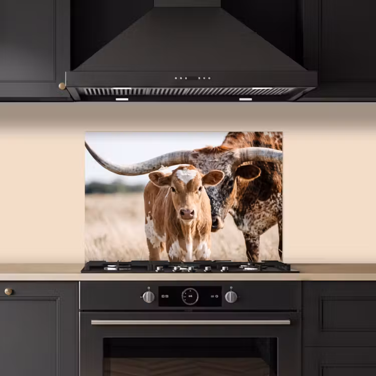 Spatscherm keuken - Texas Longhorn - Kalf - Weide - Dieren — 2
