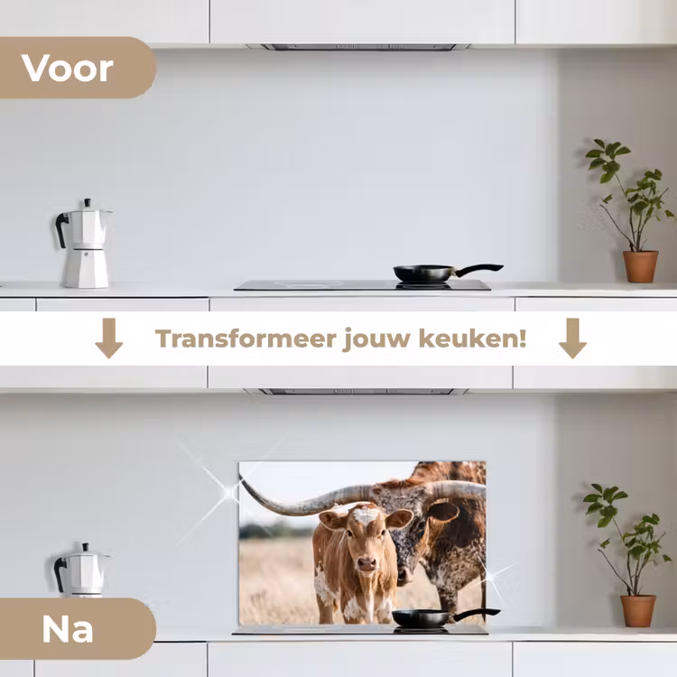 Spatscherm keuken - Texas Longhorn - Kalf - Weide - Dieren — 3