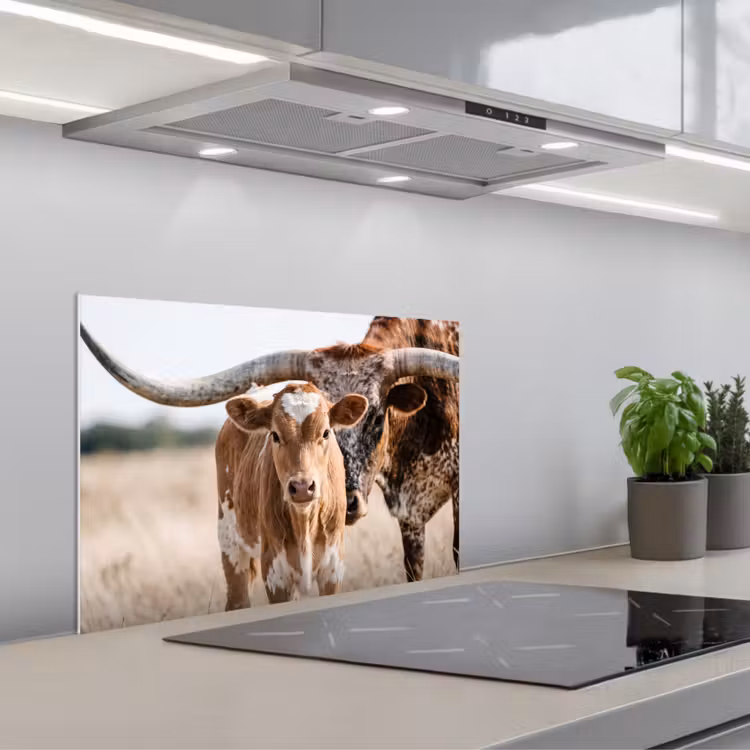 Spatscherm keuken - Texas Longhorn - Kalf - Weide - Dieren — 5