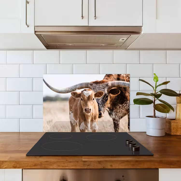 Spatscherm keuken - Texas Longhorn - Kalf - Weide - Dieren — 6