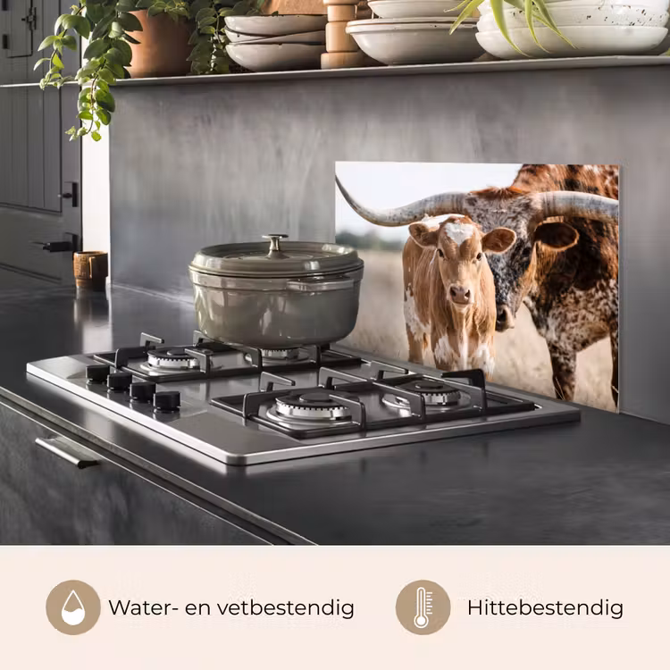 Spatscherm keuken - Texas Longhorn - Kalf - Weide - Dieren — 7