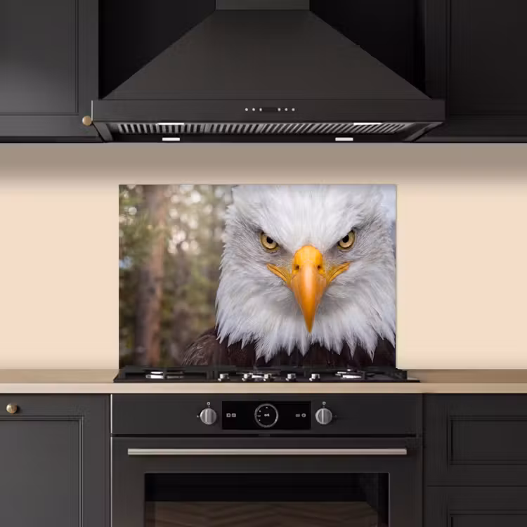 Spatscherm keuken - Amerikaans - Zeearend - Portret - Geel — 2