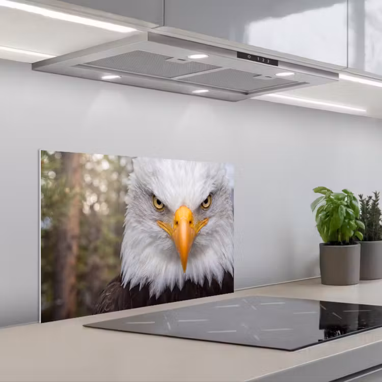 Spatscherm keuken - Amerikaans - Zeearend - Portret - Geel — 5