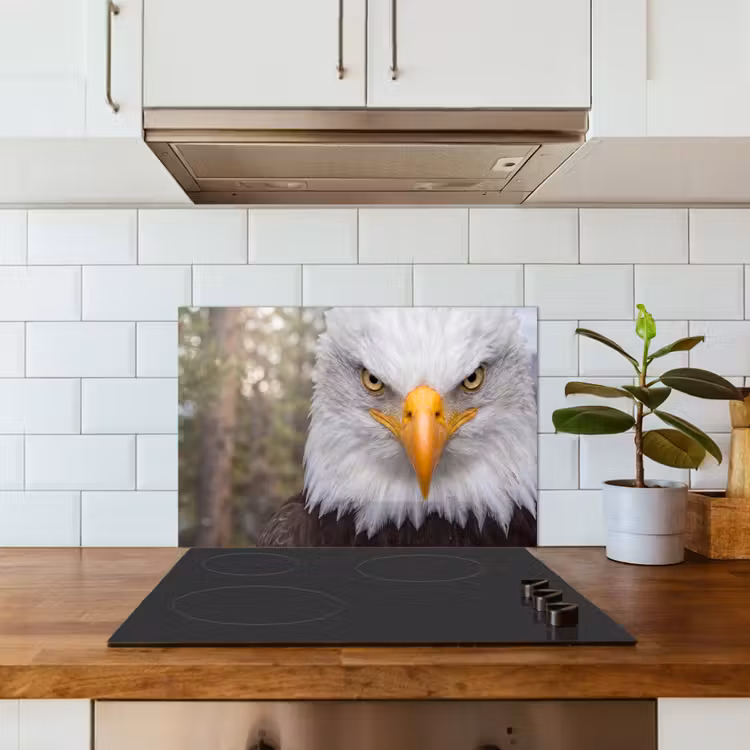 Spatscherm keuken - Amerikaans - Zeearend - Portret - Geel — 6