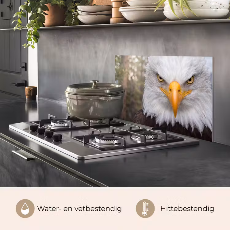 Spatscherm keuken - Amerikaans - Zeearend - Portret - Geel — 7