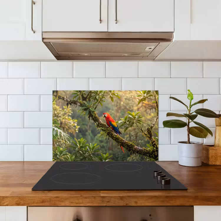 Spatscherm keuken - Ara - Jungle - Rood — 6