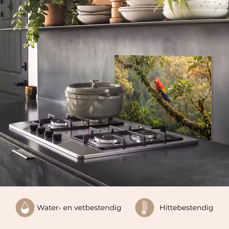 Spatscherm keuken - Ara - Jungle - Rood — 7