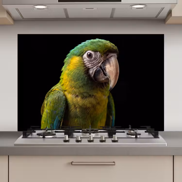 Spatscherm keuken - Ara - Portret - Groen — 1
