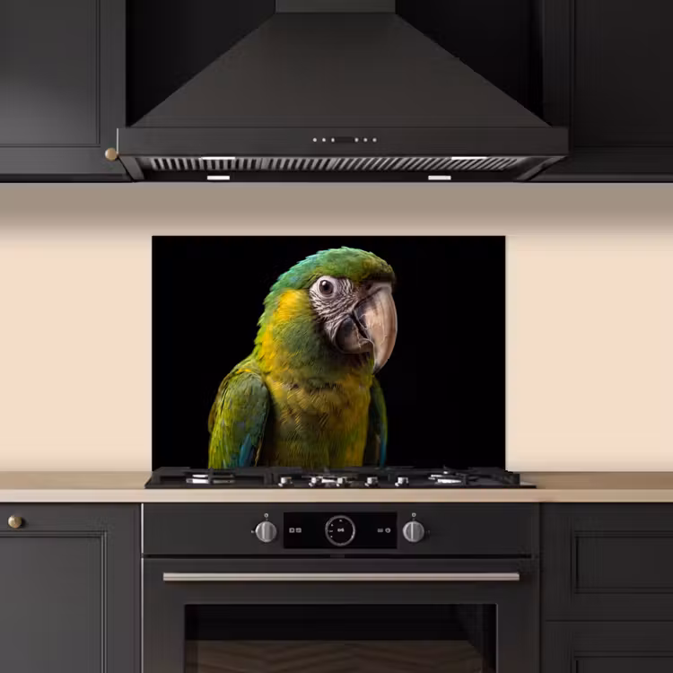 Spatscherm keuken - Ara - Portret - Groen — 2