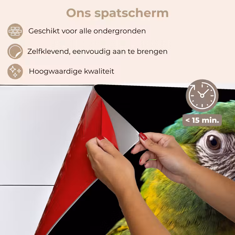 Spatscherm keuken - Ara - Portret - Groen — 4