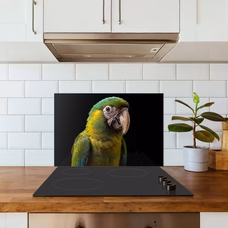 Spatscherm keuken - Ara - Portret - Groen — 6