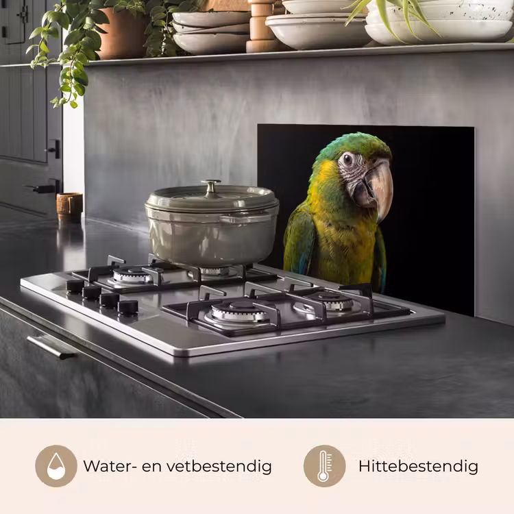 Spatscherm keuken - Ara - Portret - Groen — 7