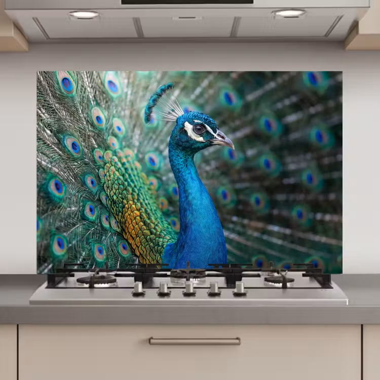 Spatscherm keuken - Pauw - Veren - Blauw — 1