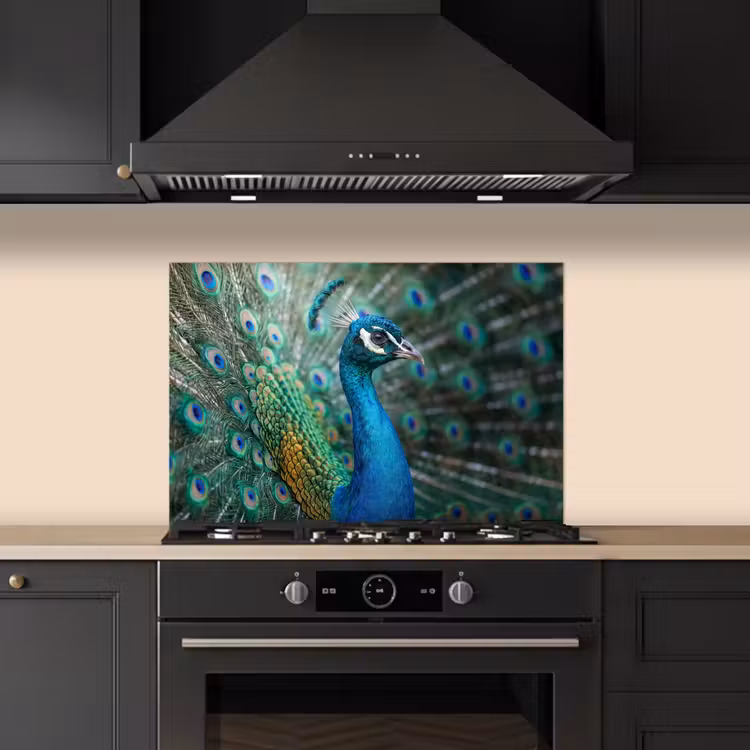 Spatscherm keuken - Pauw - Veren - Blauw — 2