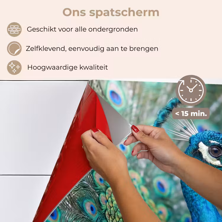 Spatscherm keuken - Pauw - Veren - Blauw — 4