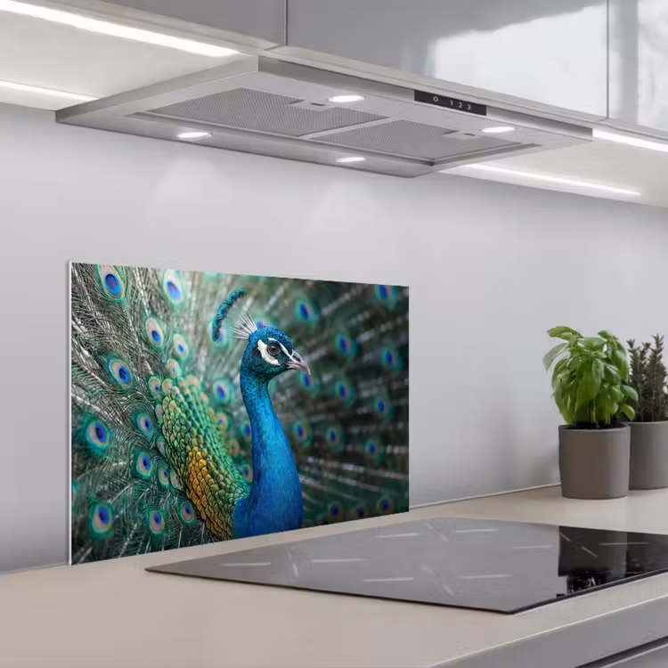 Spatscherm keuken - Pauw - Veren - Blauw — 5
