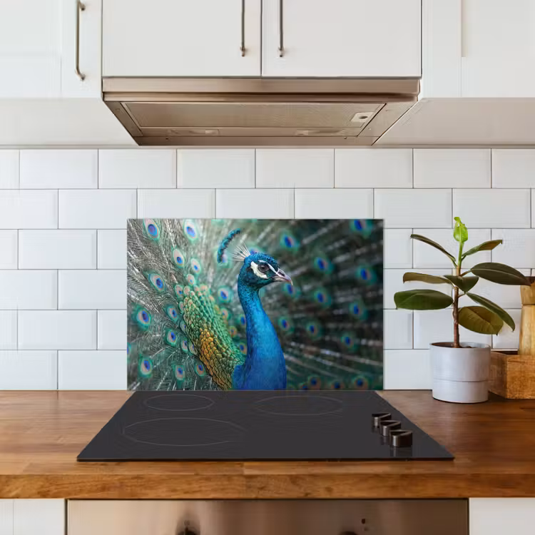 Spatscherm keuken - Pauw - Veren - Blauw — 6