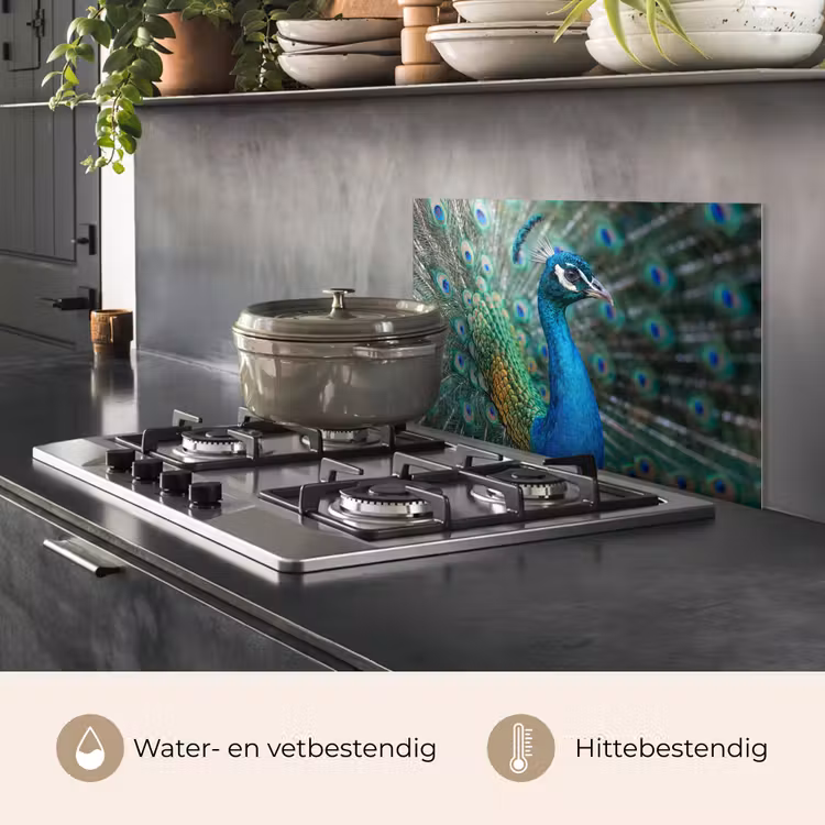 Spatscherm keuken - Pauw - Veren - Blauw — 7