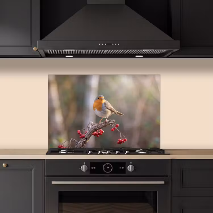 Spatscherm keuken - Roodborst - Tak - Bessen - Natuur — 2