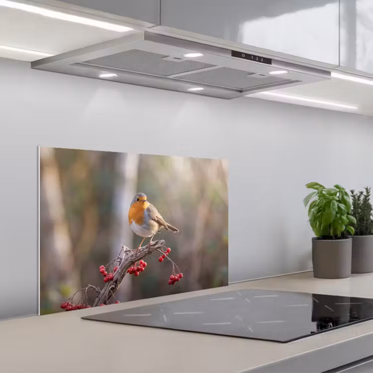 Spatscherm keuken - Roodborst - Tak - Bessen - Natuur — 5
