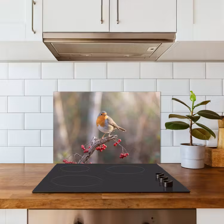 Spatscherm keuken - Roodborst - Tak - Bessen - Natuur — 6