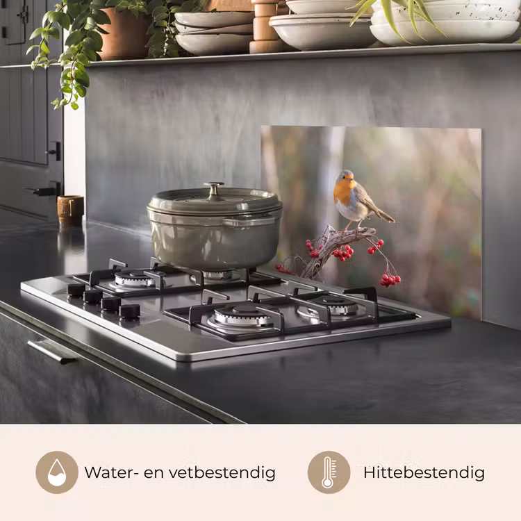 Spatscherm keuken - Roodborst - Tak - Bessen - Natuur — 7