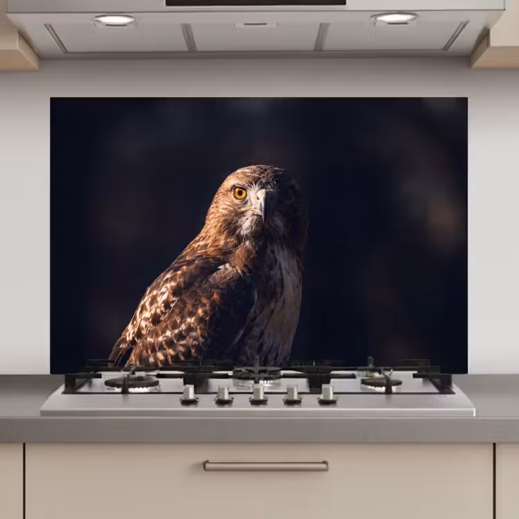 Spatscherm keuken - Roofvogel - Buizerd - Bruin — 1