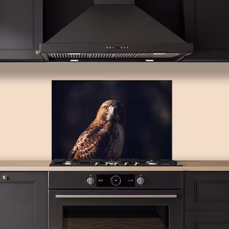 Spatscherm keuken - Roofvogel - Buizerd - Bruin — 2