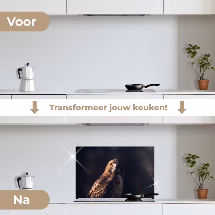 Spatscherm keuken - Roofvogel - Buizerd - Bruin — 3