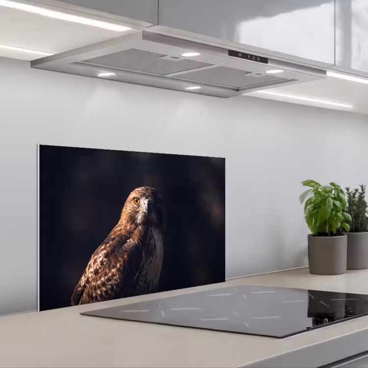 Spatscherm keuken - Roofvogel - Buizerd - Bruin — 5