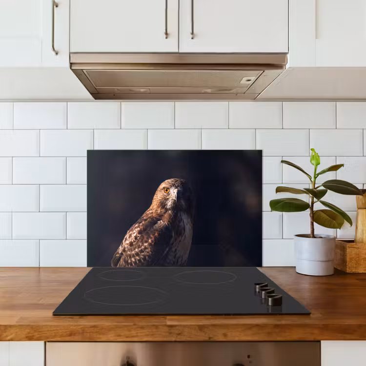 Spatscherm keuken - Roofvogel - Buizerd - Bruin — 6