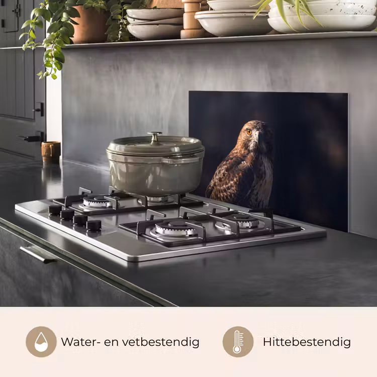 Spatscherm keuken - Roofvogel - Buizerd - Bruin — 7